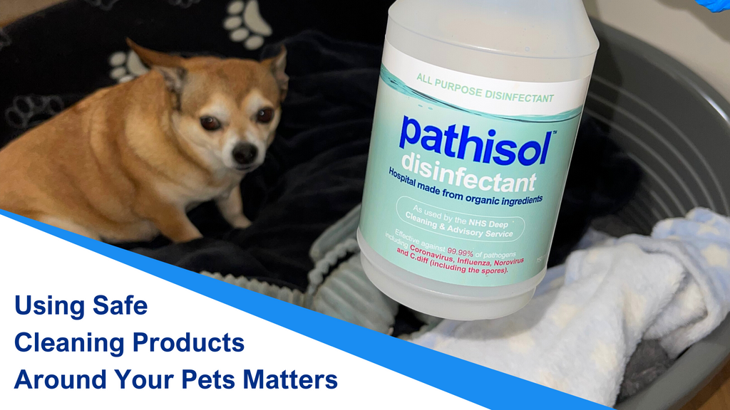 Using Safe Cleaning Products Around Your Pets Matters - Pathisol
